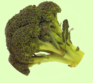 broccoli