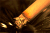 cigarette