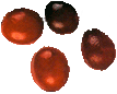 cranberries