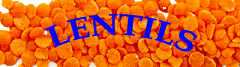 LENTILS